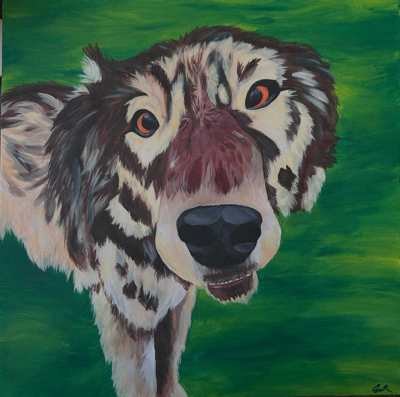 0.5 Wolf